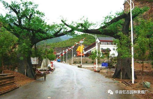 阜陽(yáng)生態(tài)園大門(mén)制作價(jià)格解析 假山藝術(shù)與成本考量